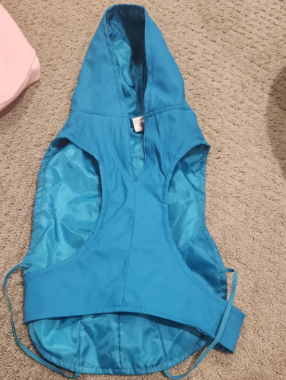 Top Paw bright blue